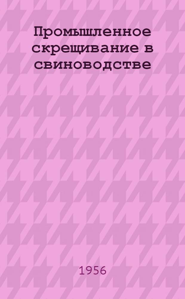 Промышленное скрещивание в свиноводстве