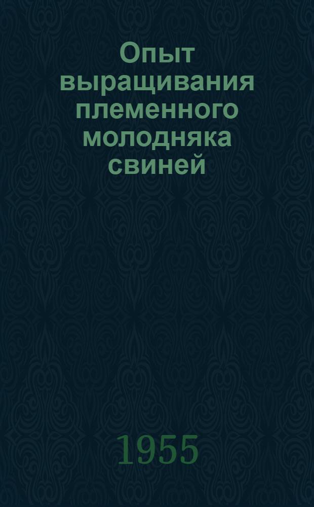 Опыт выращивания племенного молодняка свиней