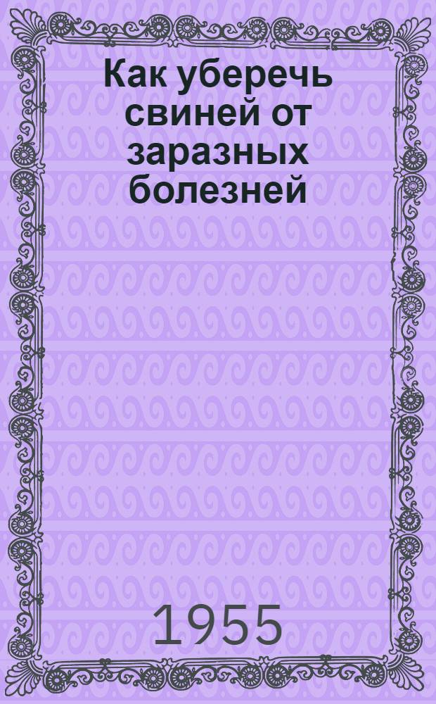 Как уберечь свиней от заразных болезней
