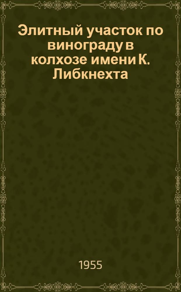Элитный участок по винограду в колхозе имени К. Либкнехта