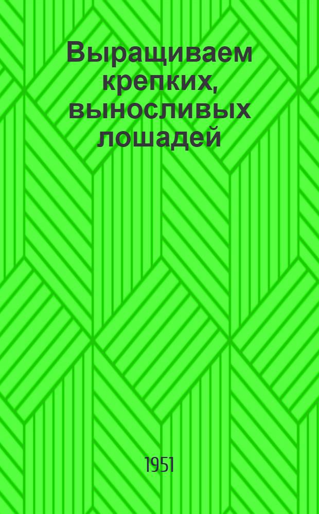 Выращиваем крепких, выносливых лошадей : Рассказы передовых коневодов