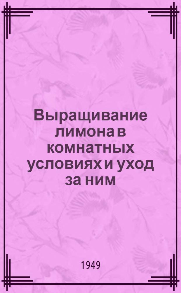 Выращивание лимона в комнатных условиях и уход за ним