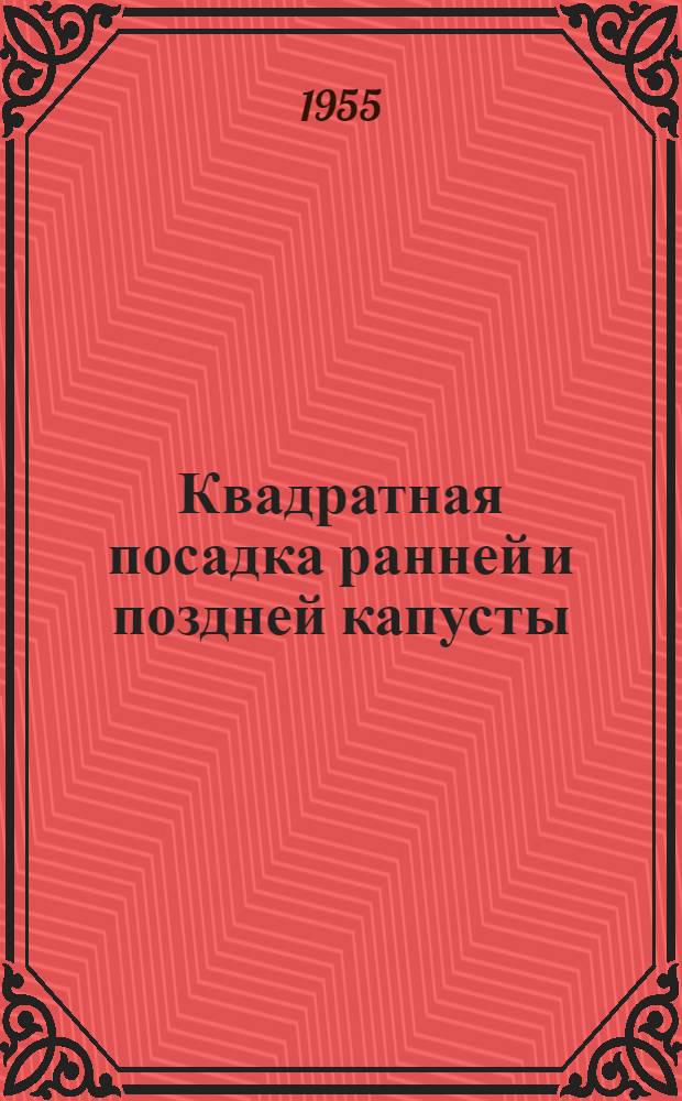 Квадратная посадка ранней и поздней капусты