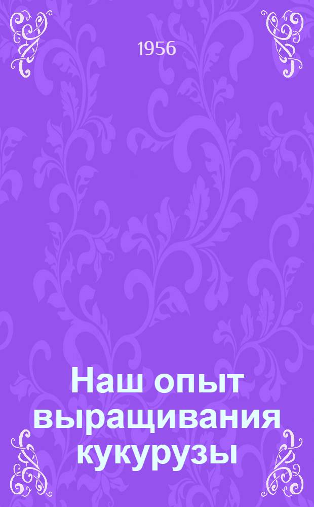 Наш опыт выращивания кукурузы