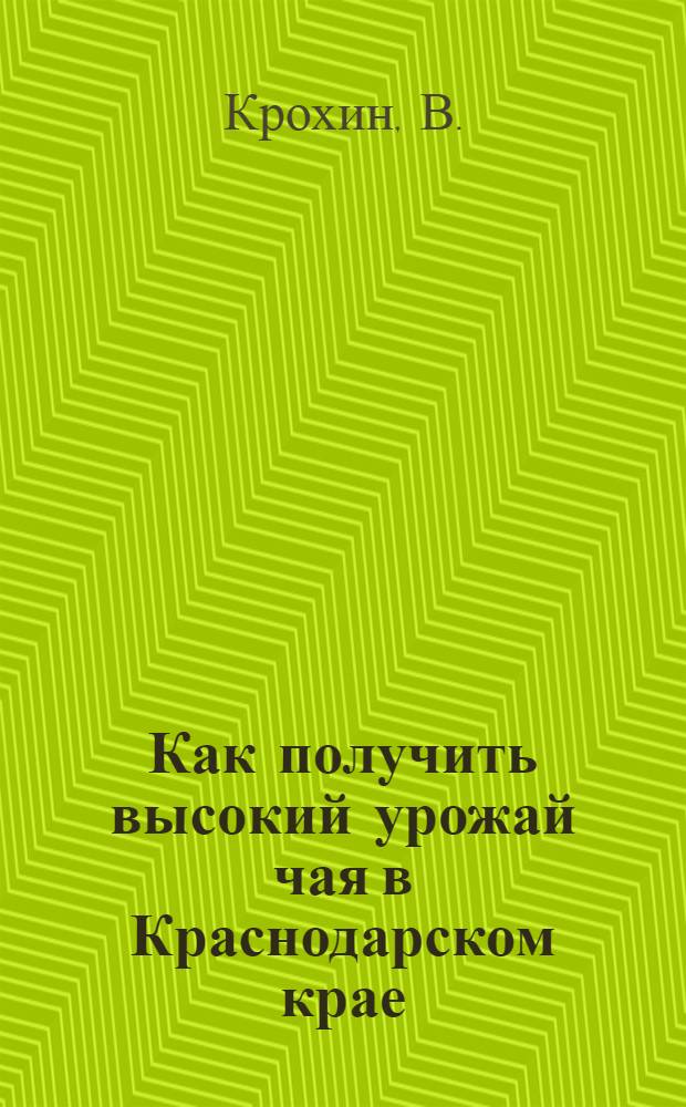 Как получить высокий урожай чая в Краснодарском крае