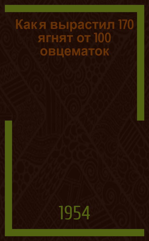 Как я вырастил 170 ягнят от 100 овцематок : Колхоз им. Хрущева, Чаин. района