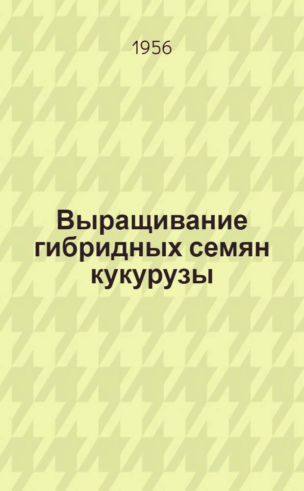 Выращивание гибридных семян кукурузы