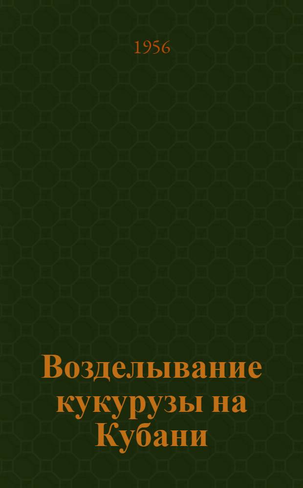 Возделывание кукурузы на Кубани