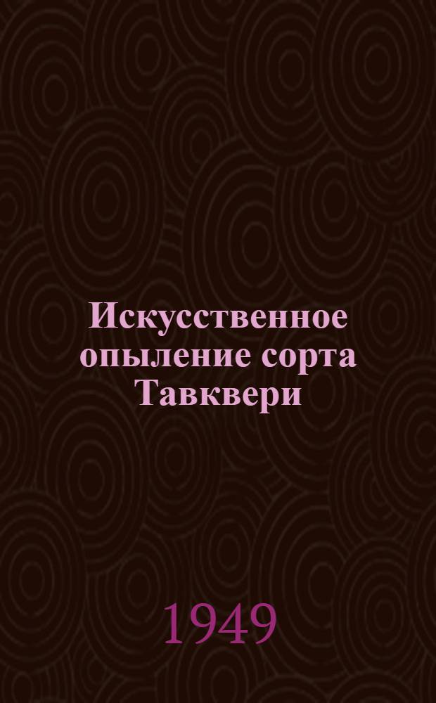 Искусственное опыление сорта Тавквери : Виноград