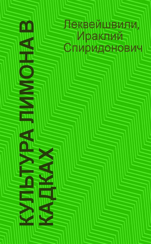 Культура лимона в кадках