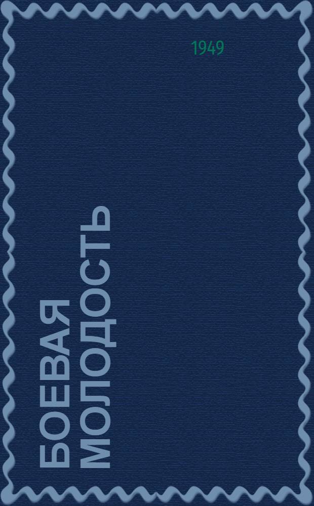 Боевая молодость : Роман