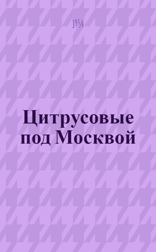 Цитрусовые под Москвой