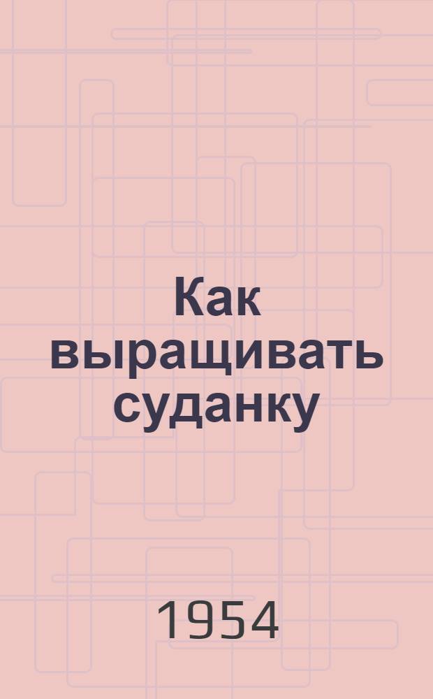 Как выращивать суданку