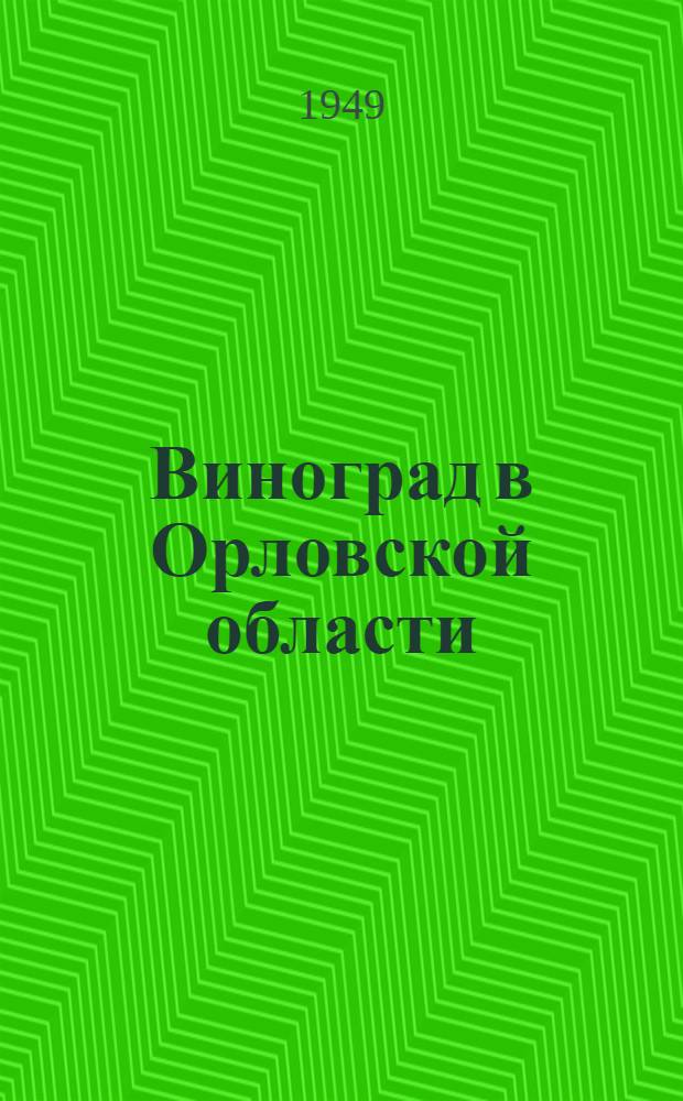 Виноград в Орловской области