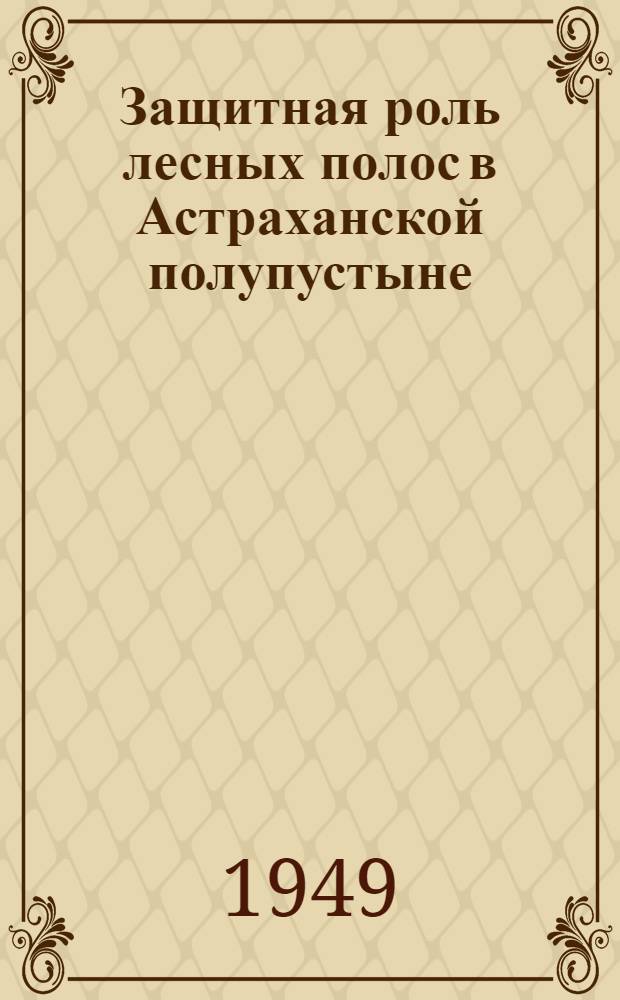 Защитная роль лесных полос в Астраханской полупустыне