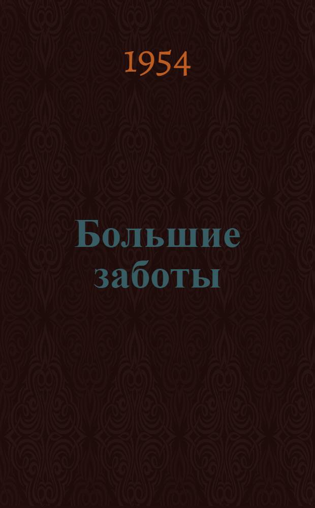 Большие заботы : Повесть