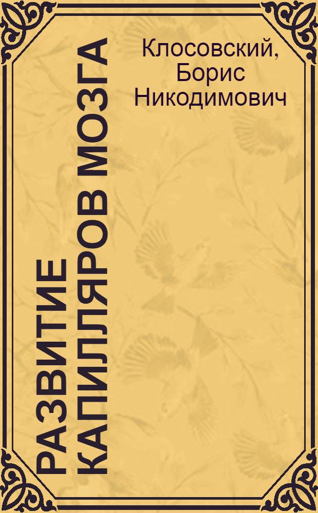 Развитие капилляров мозга