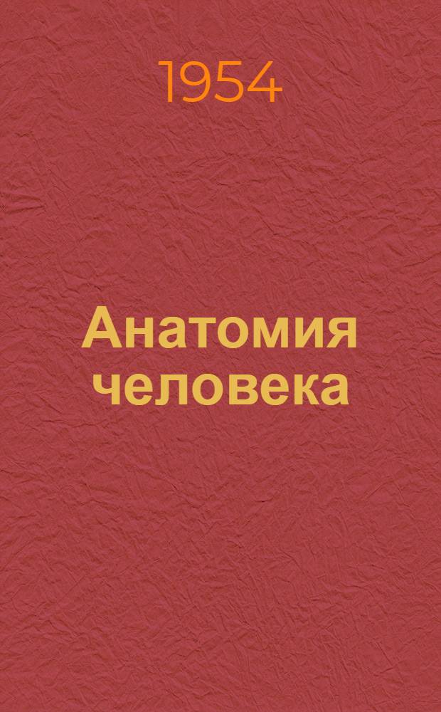 Анатомия человека : Учебник для мед. училищ