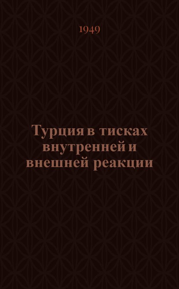 Турция в тисках внутренней и внешней реакции