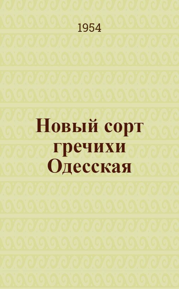 Новый сорт гречихи Одесская