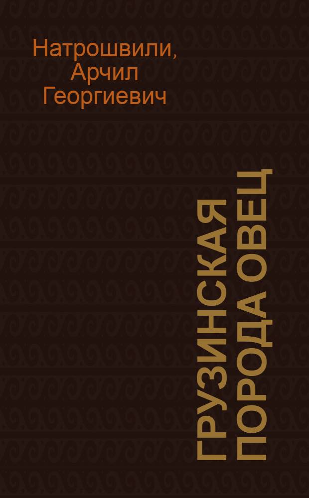 Грузинская порода овец