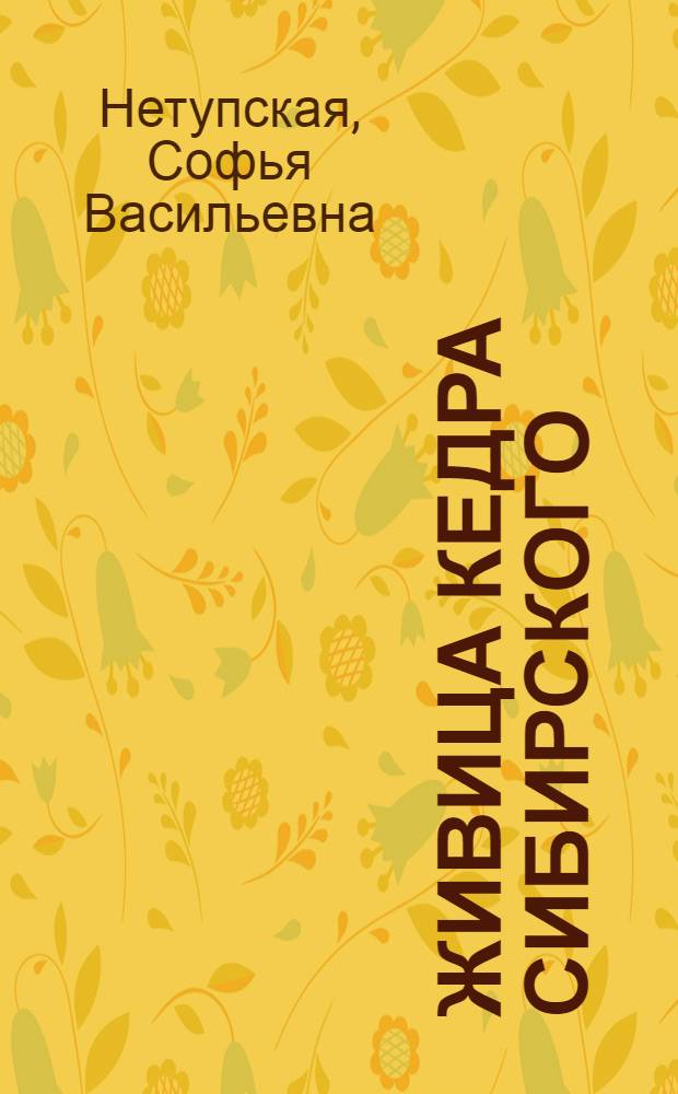 Живица кедра сибирского : (Опыты первого года подсочки)