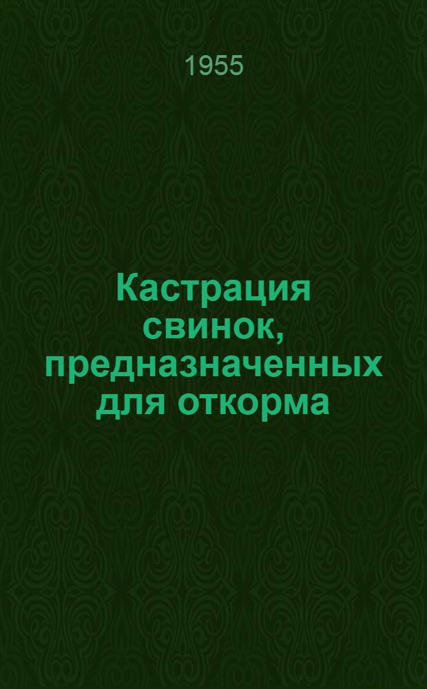 Кастрация свинок, предназначенных для откорма