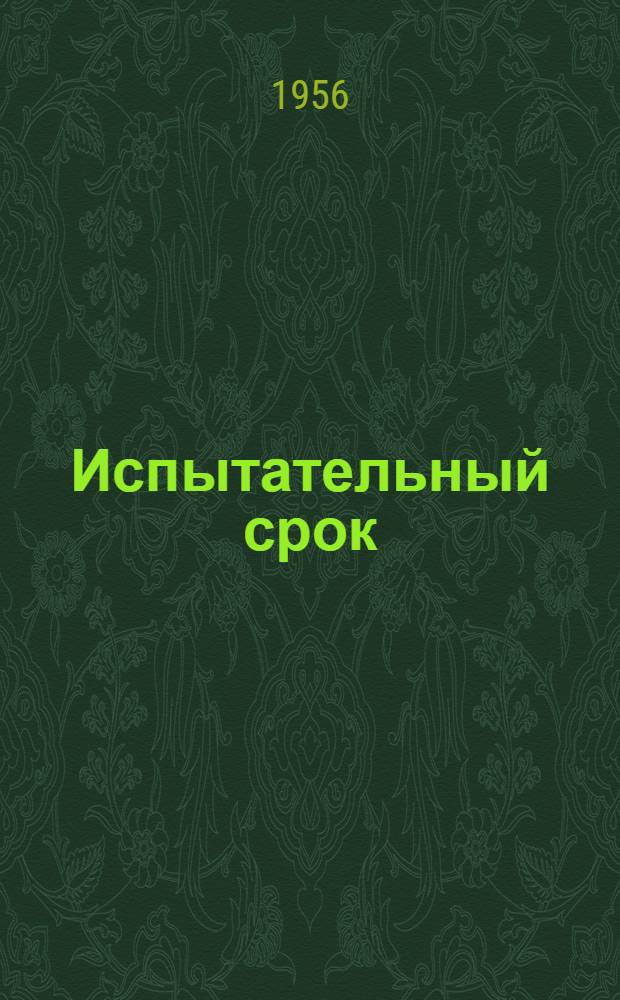 Испытательный срок : Повесть