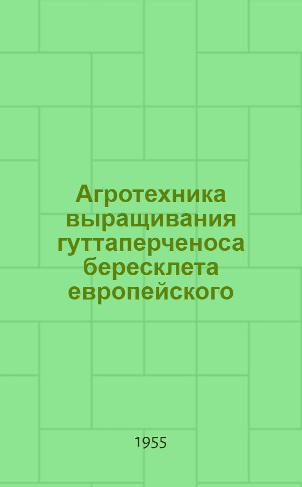 Агротехника выращивания гуттаперченоса бересклета европейского