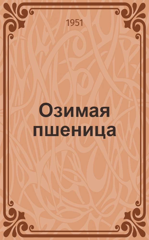 Озимая пшеница