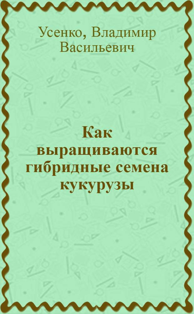 Как выращиваются гибридные семена кукурузы