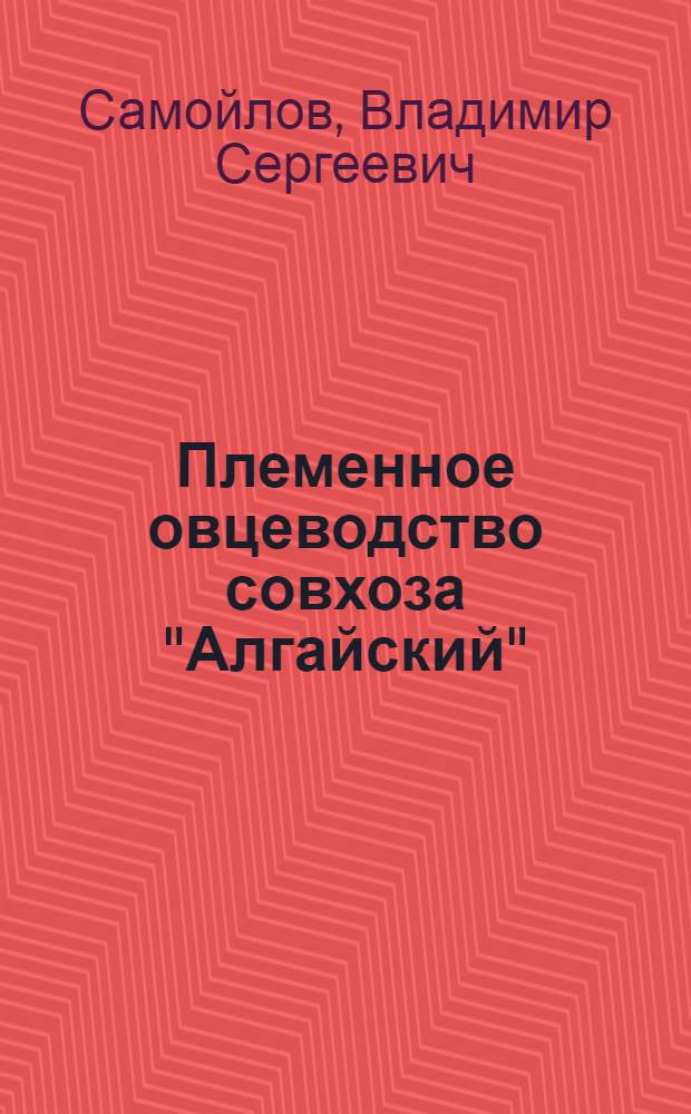 Племенное овцеводство совхоза "Алгайский"