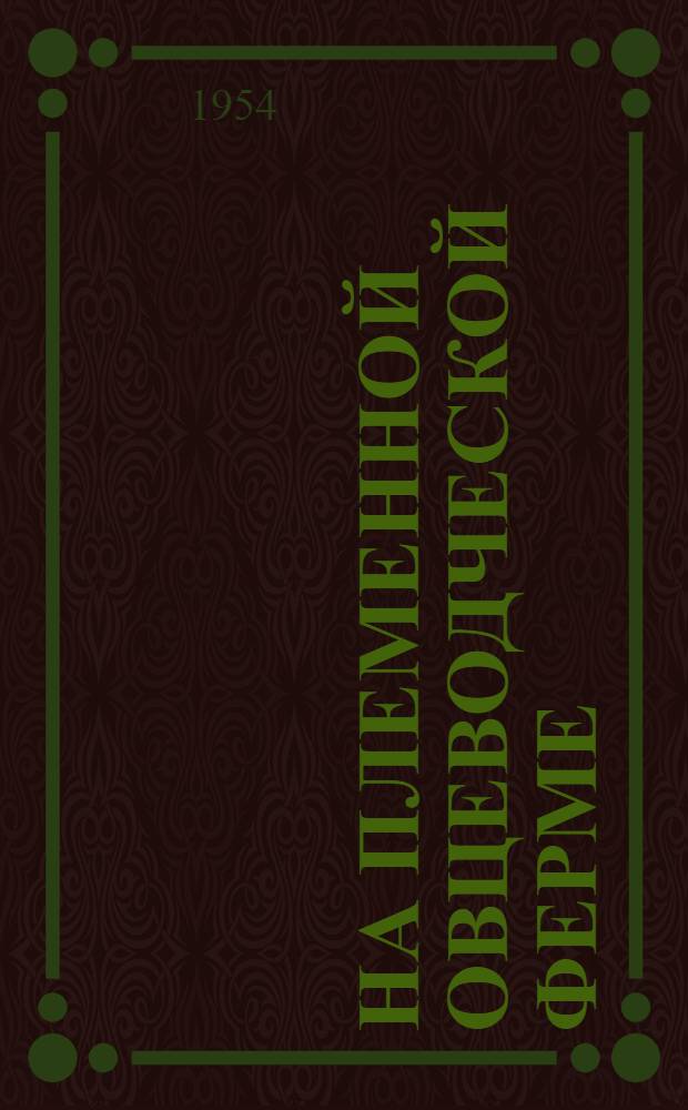 На племенной овцеводческой ферме