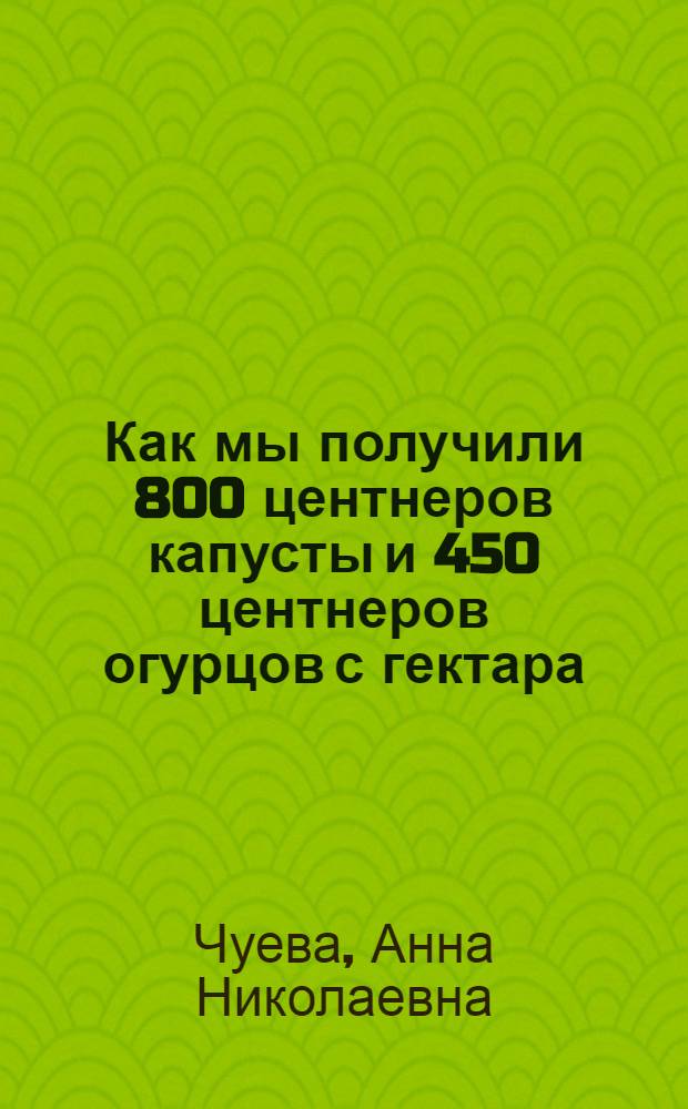 Как мы получили 800 центнеров капусты и 450 центнеров огурцов с гектара : Колхоз "Золотой колос" Куюргазин. района