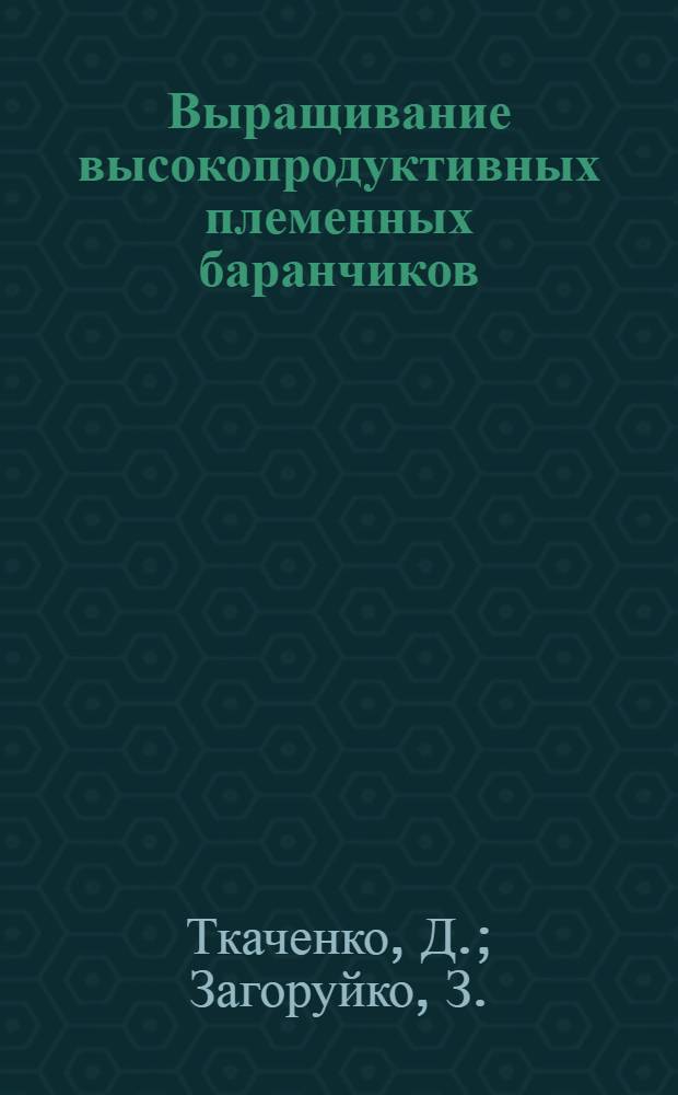 Выращивание высокопродуктивных племенных баранчиков : Колхоз им. Жданова, Левокум. района