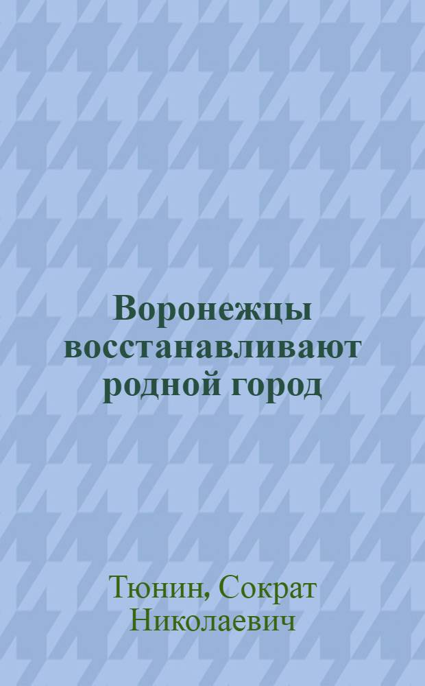 Воронежцы восстанавливают родной город