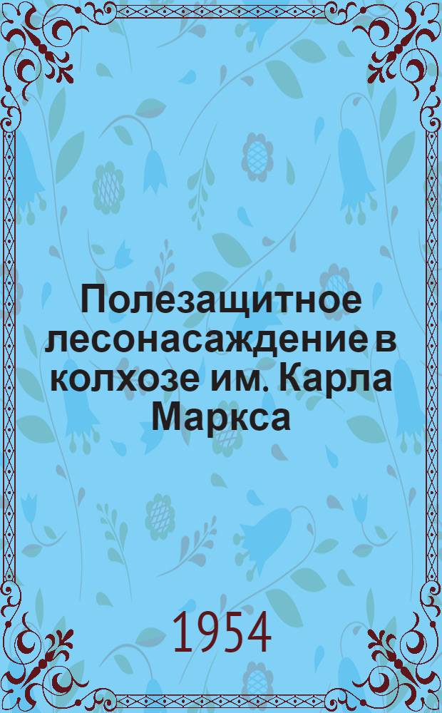 Полезащитное лесонасаждение в колхозе им. Карла Маркса : Дюртюлин. район