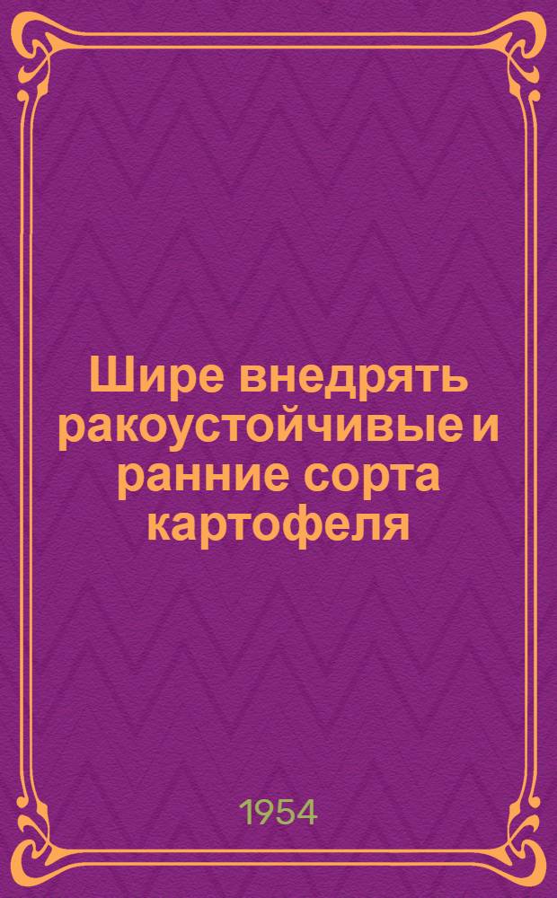 Шире внедрять ракоустойчивые и ранние сорта картофеля