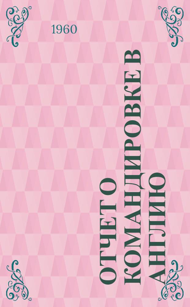 Отчет о командировке в Англию