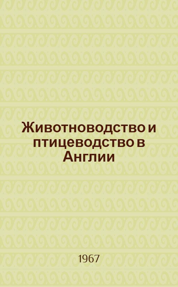 Животноводство и птицеводство в Англии : (Отчет советской сельскохозяйственной делегации)