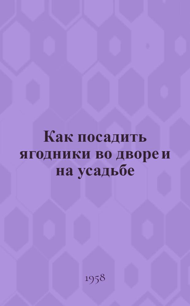 Как посадить ягодники во дворе и на усадьбе