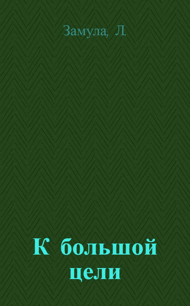 К большой цели