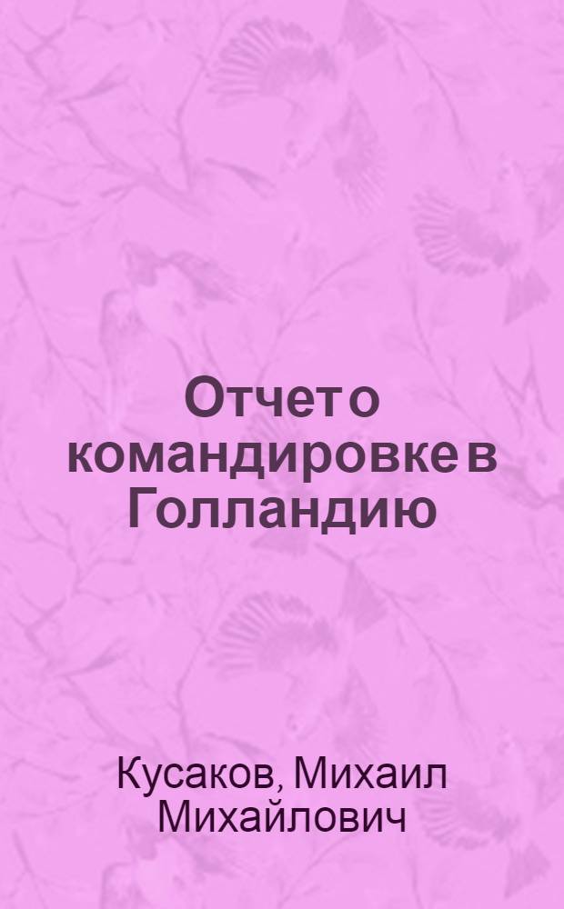 Отчет о командировке в Голландию