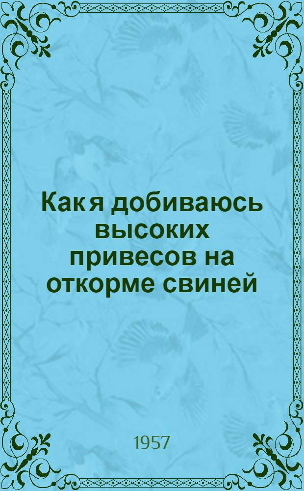 Как я добиваюсь высоких привесов на откорме свиней