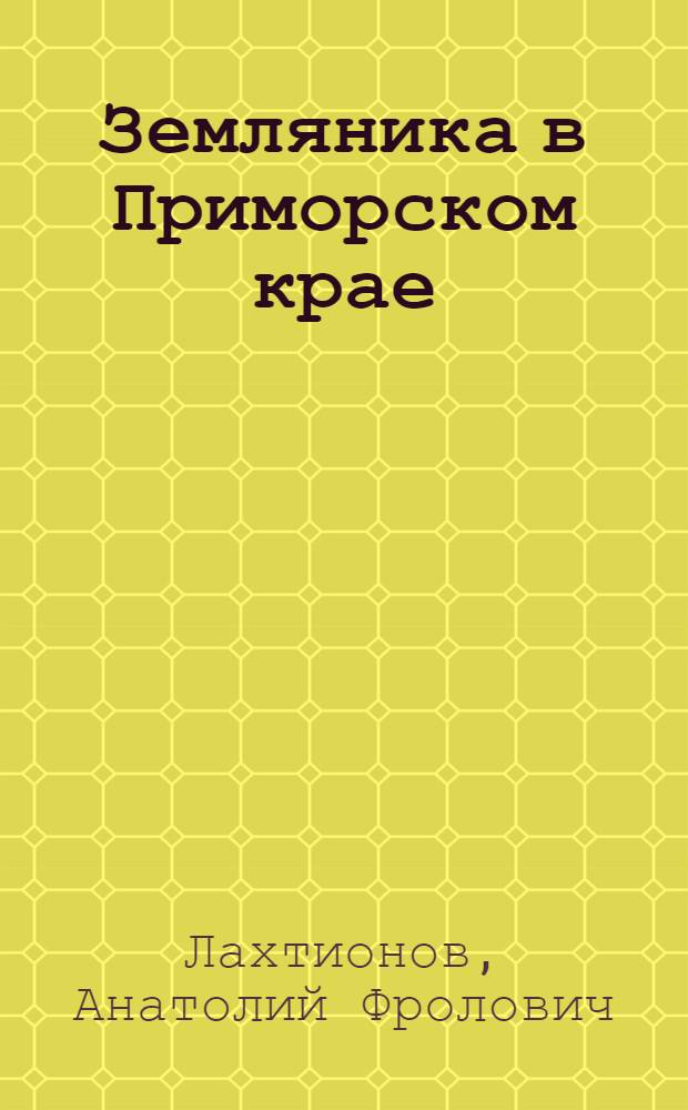 Земляника в Приморском крае