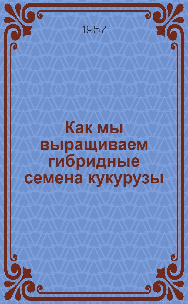 Как мы выращиваем гибридные семена кукурузы