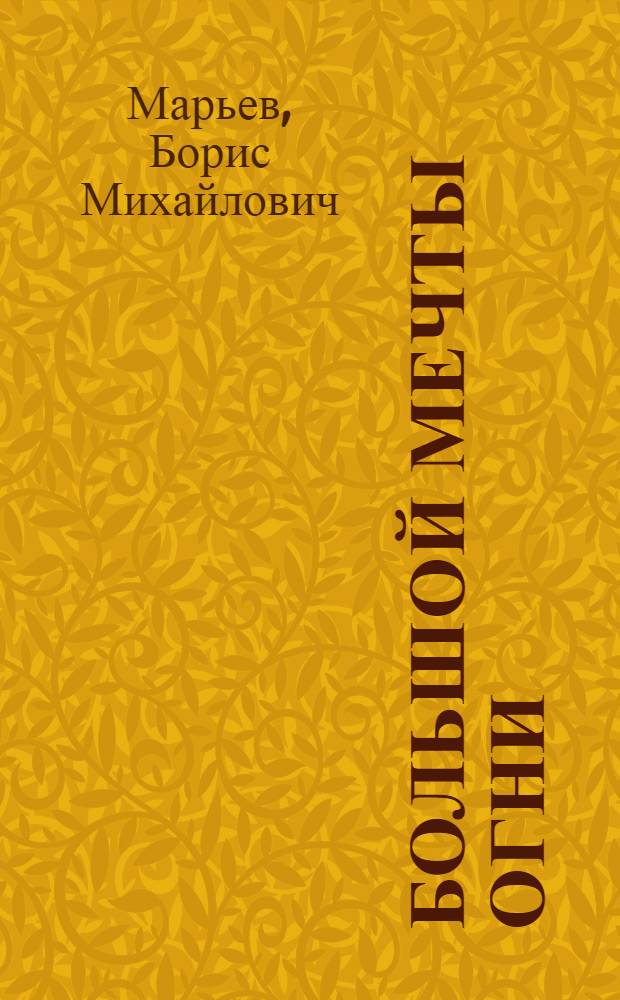 Большой мечты огни : Лирич. репортаж