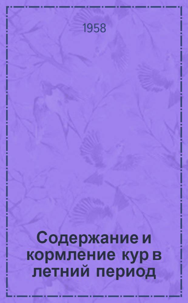 Содержание и кормление кур в летний период