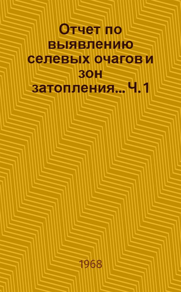 Отчет по выявлению селевых очагов и зон затопления... Ч. 1 : ...юга Ферганской долины