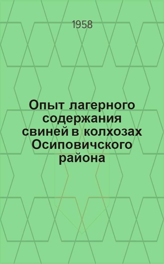 Опыт лагерного содержания свиней в колхозах Осиповичского района